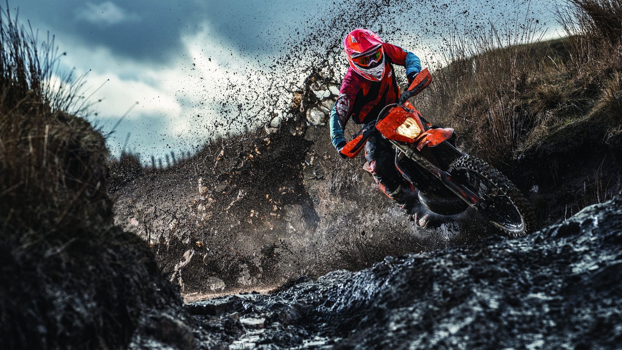 穿越火线 战队阵容稳定实力提升，穿越火线战队是干什么的